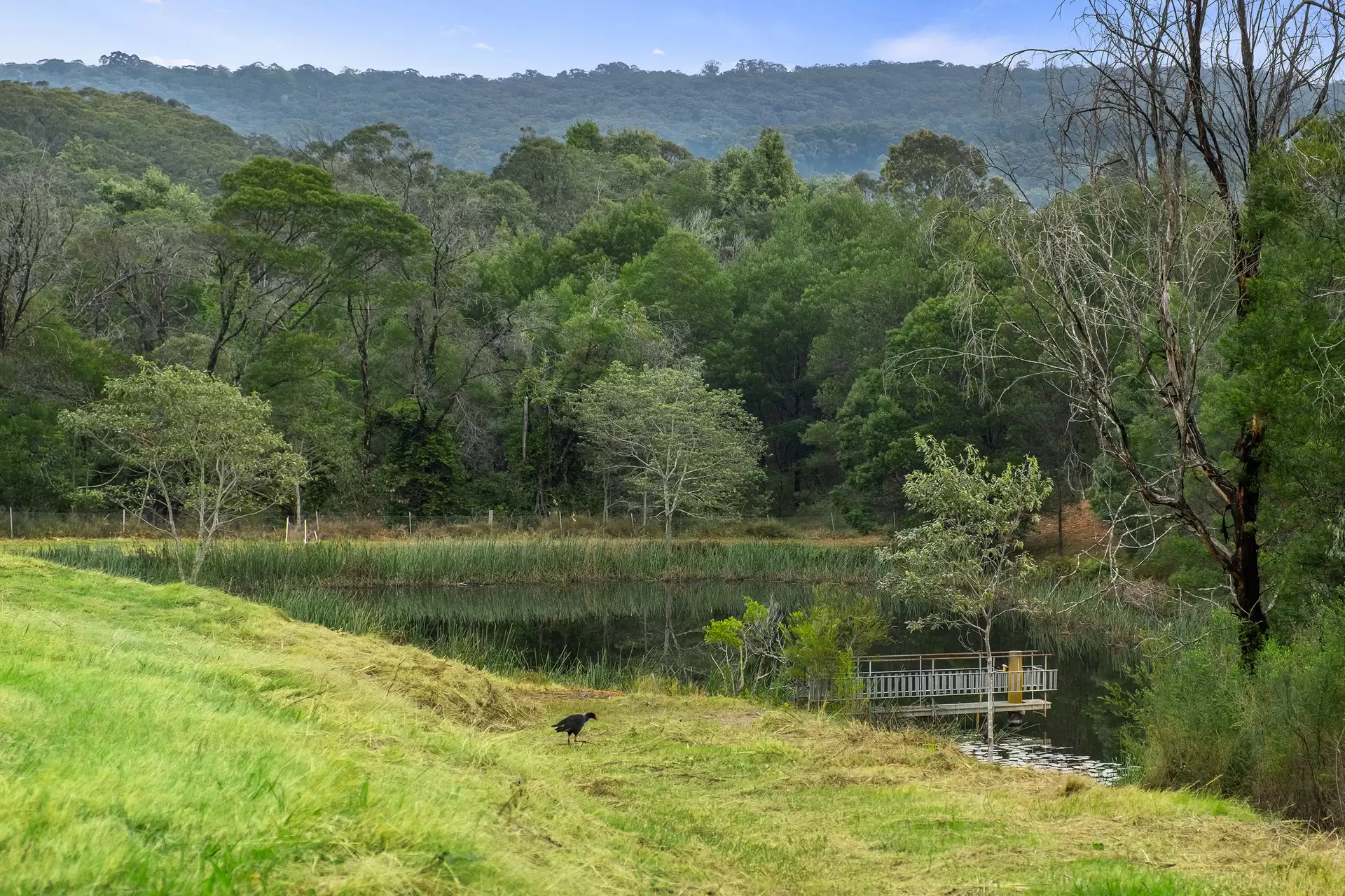 66 Baileys Lane, Kurrajong Hills For Sale by Cutcliffe Properties - image 1