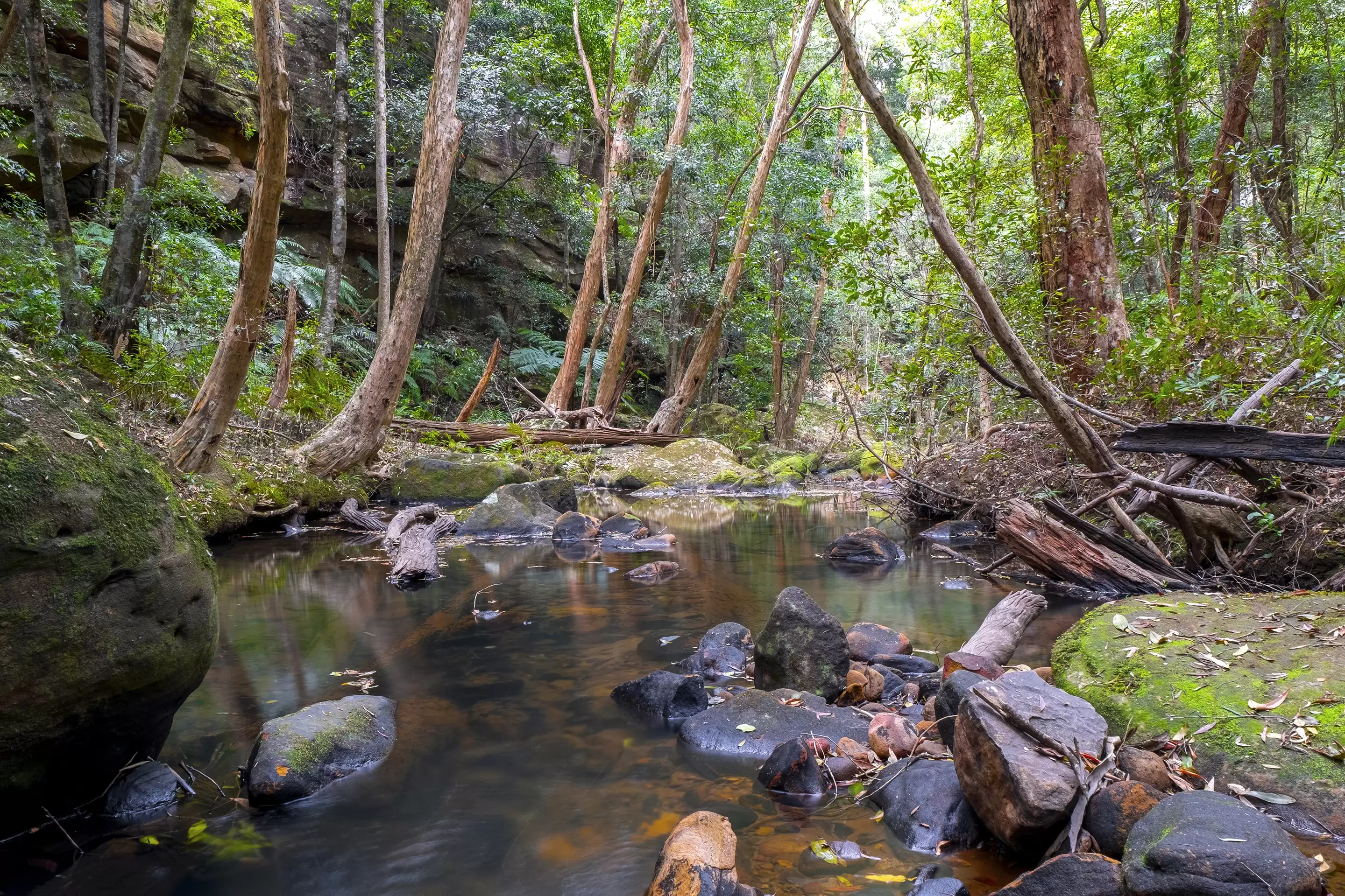 66 Baileys Lane, Kurrajong Hills For Sale by Cutcliffe Properties - image 9