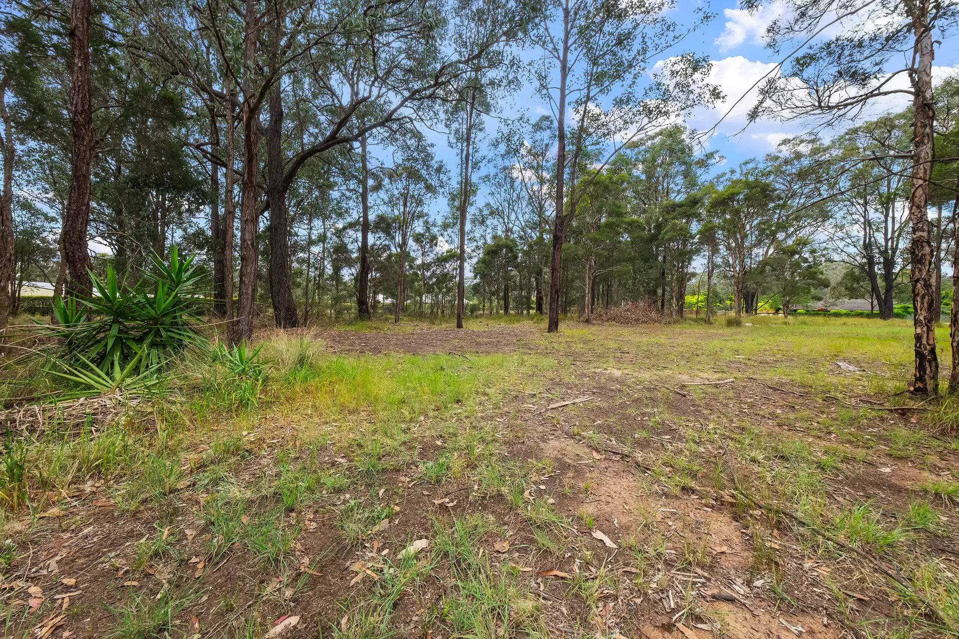 69-72 Camberwell Road, Vineyard Auction by Cutcliffe Properties - image 1