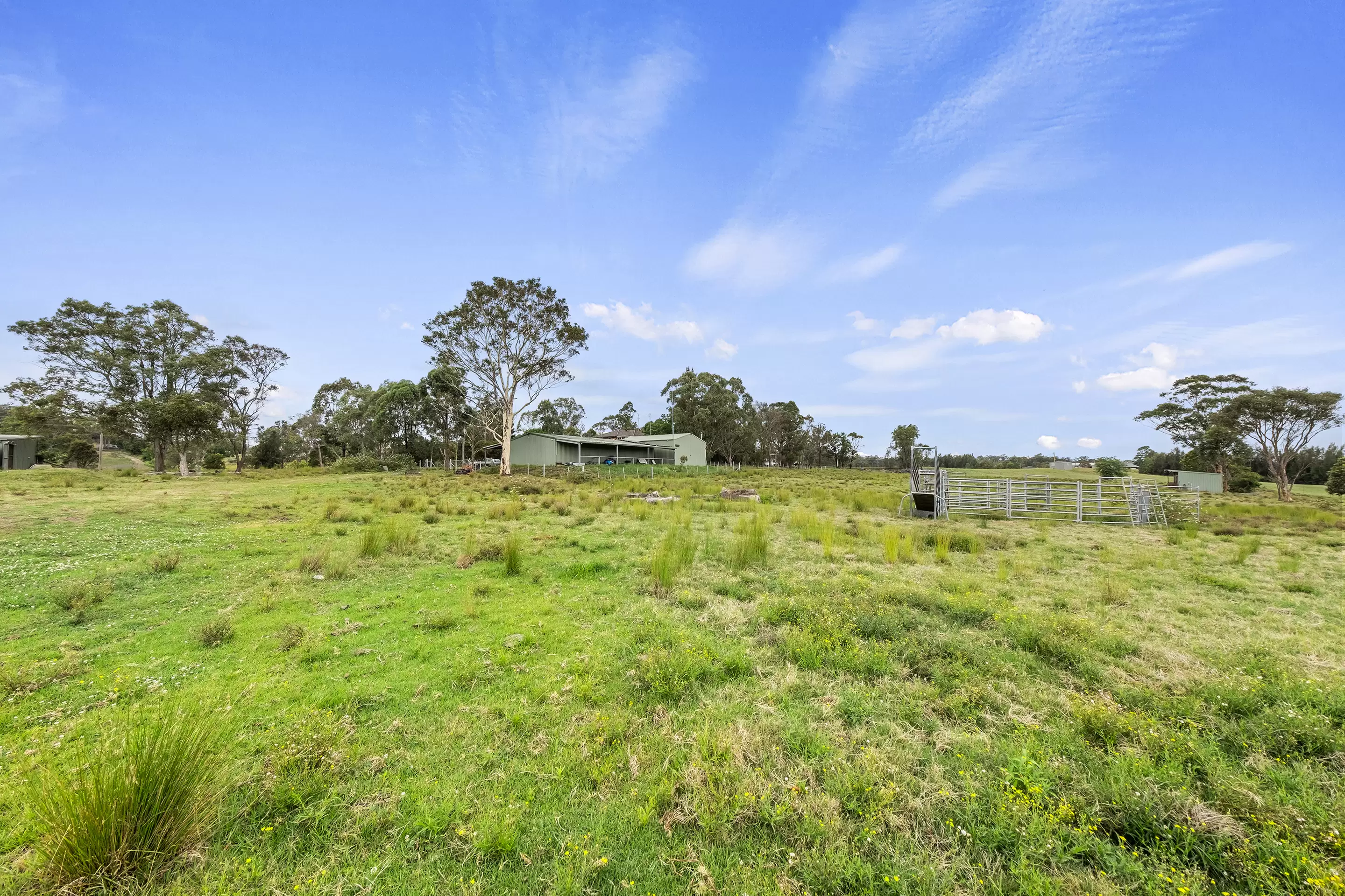 361 Pitt Town Road, Pitt Town Sold by Cutcliffe Properties - image 11