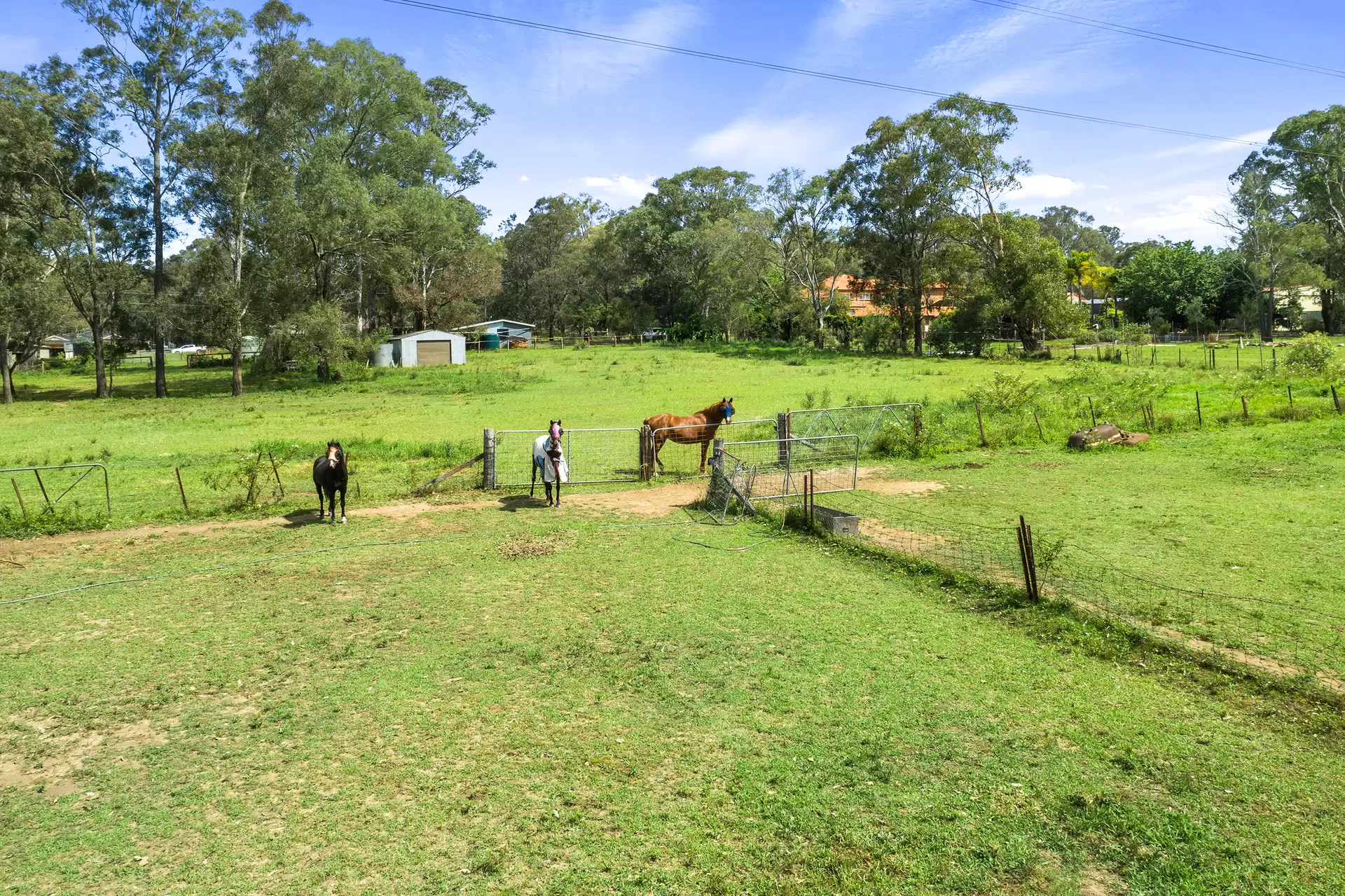 62 Guntawong Road, Rouse Hill For Sale by Cutcliffe Properties - image 1