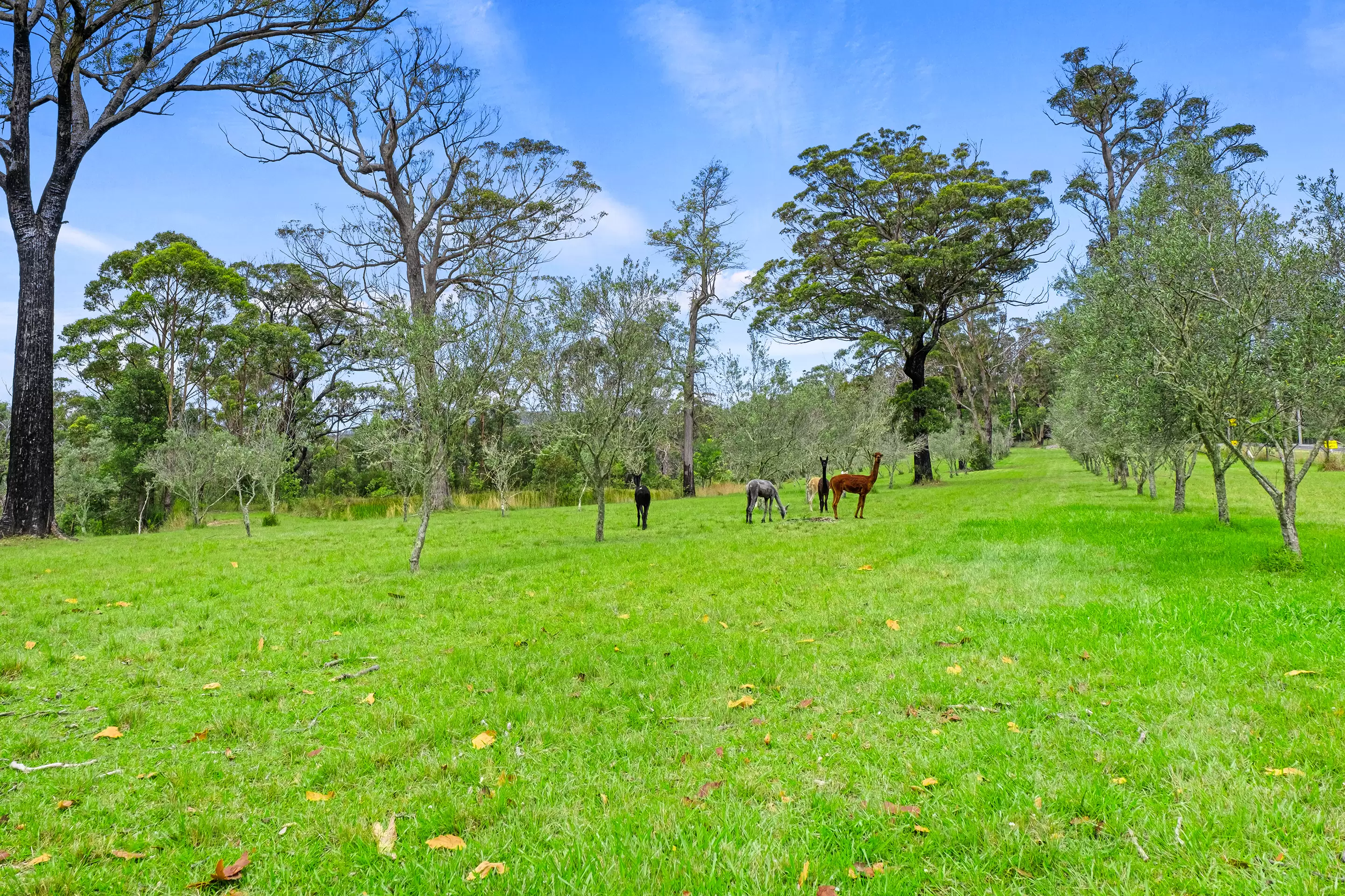 1794 Bells Line of Road, Kurrajong Heights For Sale by Cutcliffe Properties - image 1