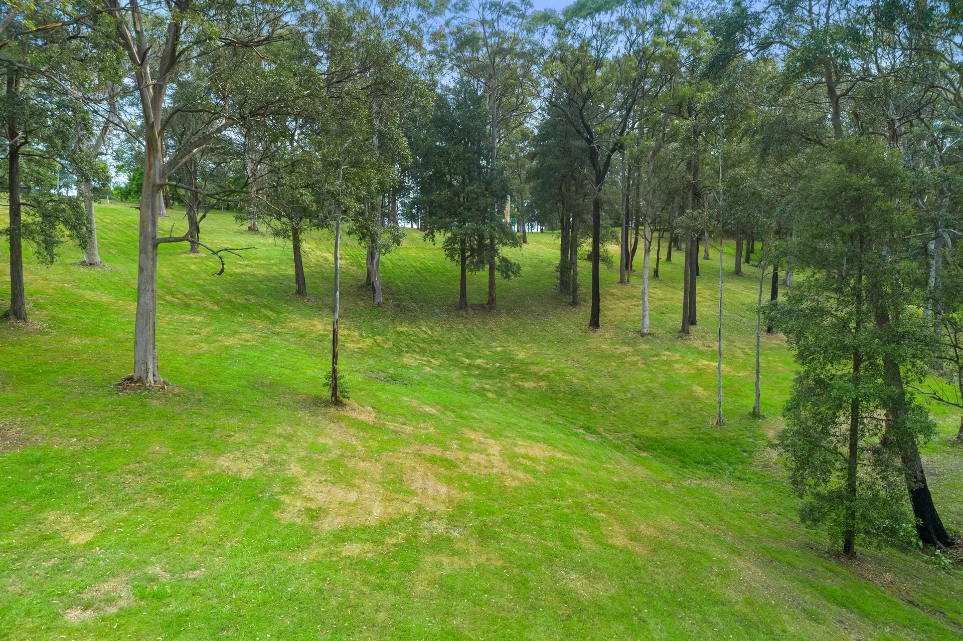 1 Sams Way, Mountain Lagoon For Sale by Cutcliffe Properties - image 1