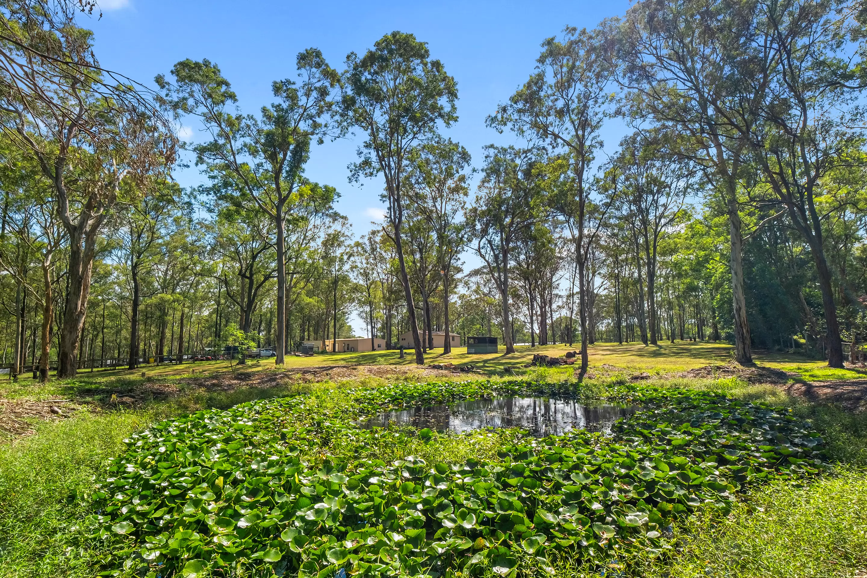 47 Boomerang Drive, Glossodia For Sale by Cutcliffe Properties - image 8