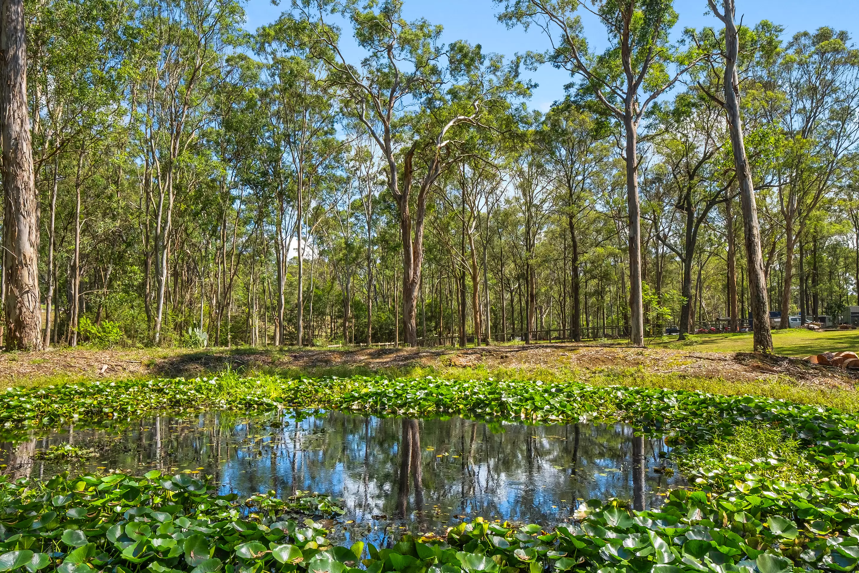 47 Boomerang Drive, Glossodia For Sale by Cutcliffe Properties - image 7