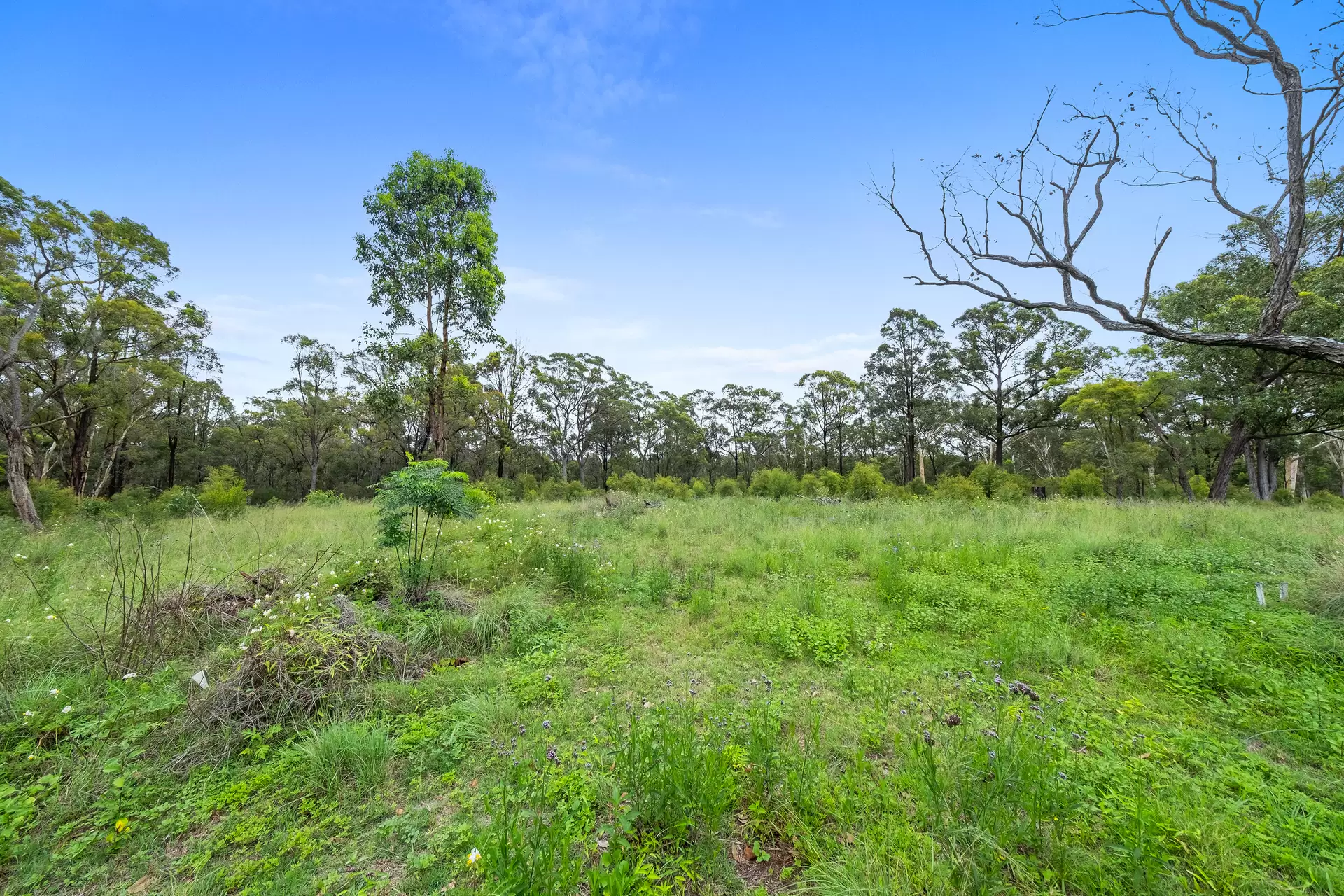 821 The Northern Road, Cranebrook For Sale by Cutcliffe Properties - image 1