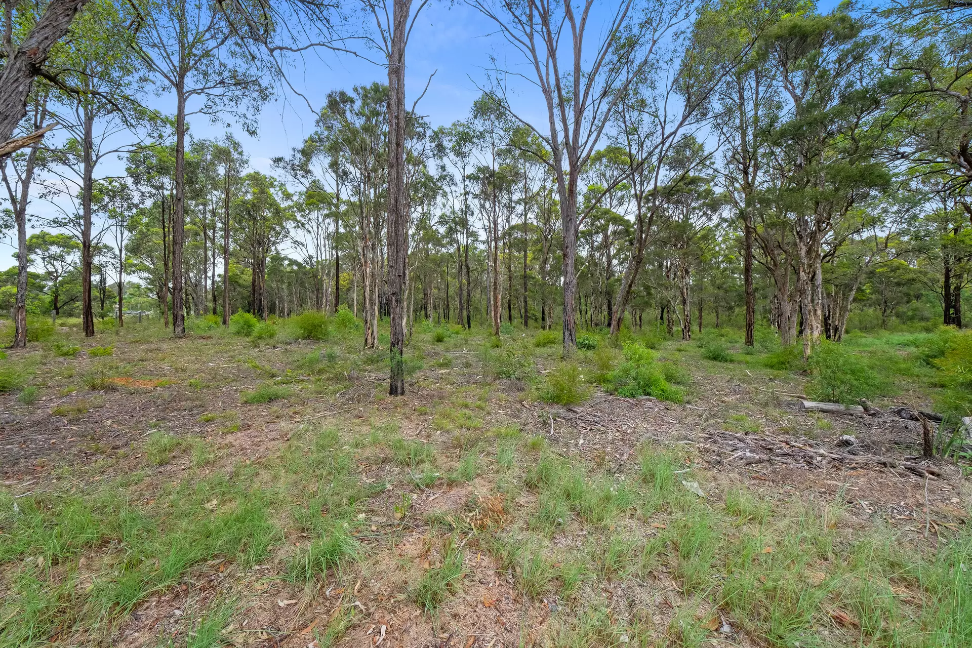 821 The Northern Road, Cranebrook For Sale by Cutcliffe Properties - image 1