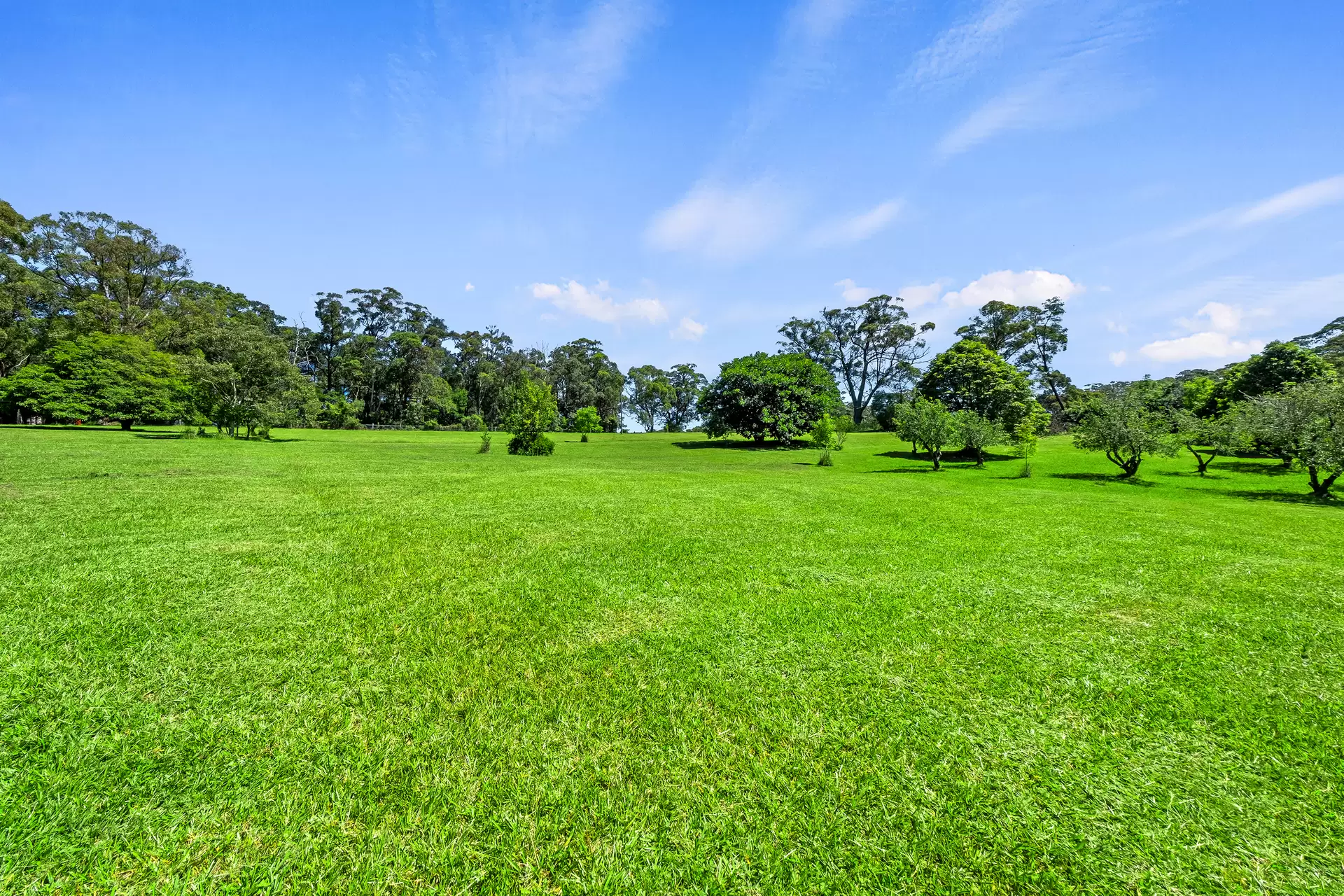 1619c Bells Line of Road, Kurrajong Heights Auction by Cutcliffe Properties - image 1