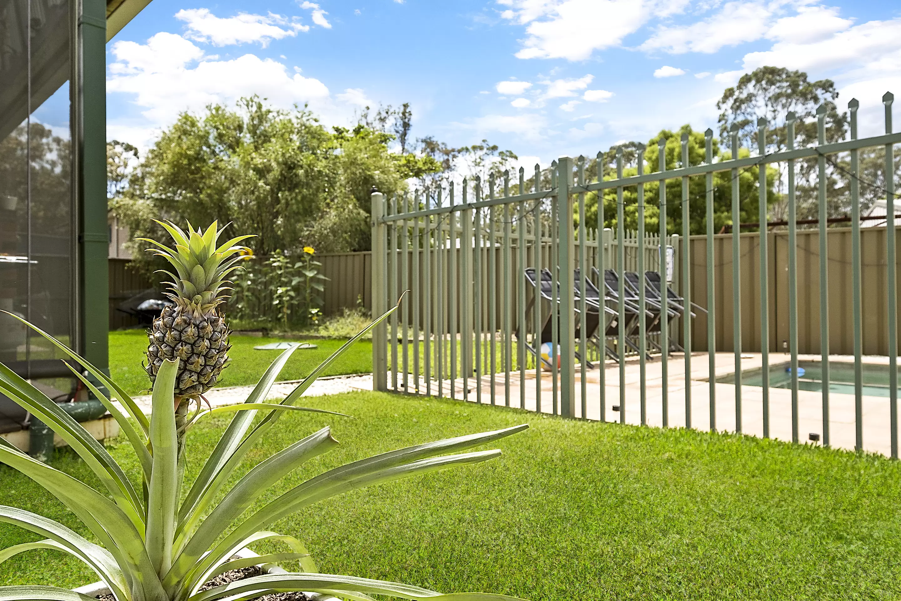 303 Castlereagh Road, Agnes Banks For Sale by Cutcliffe Properties - image 23