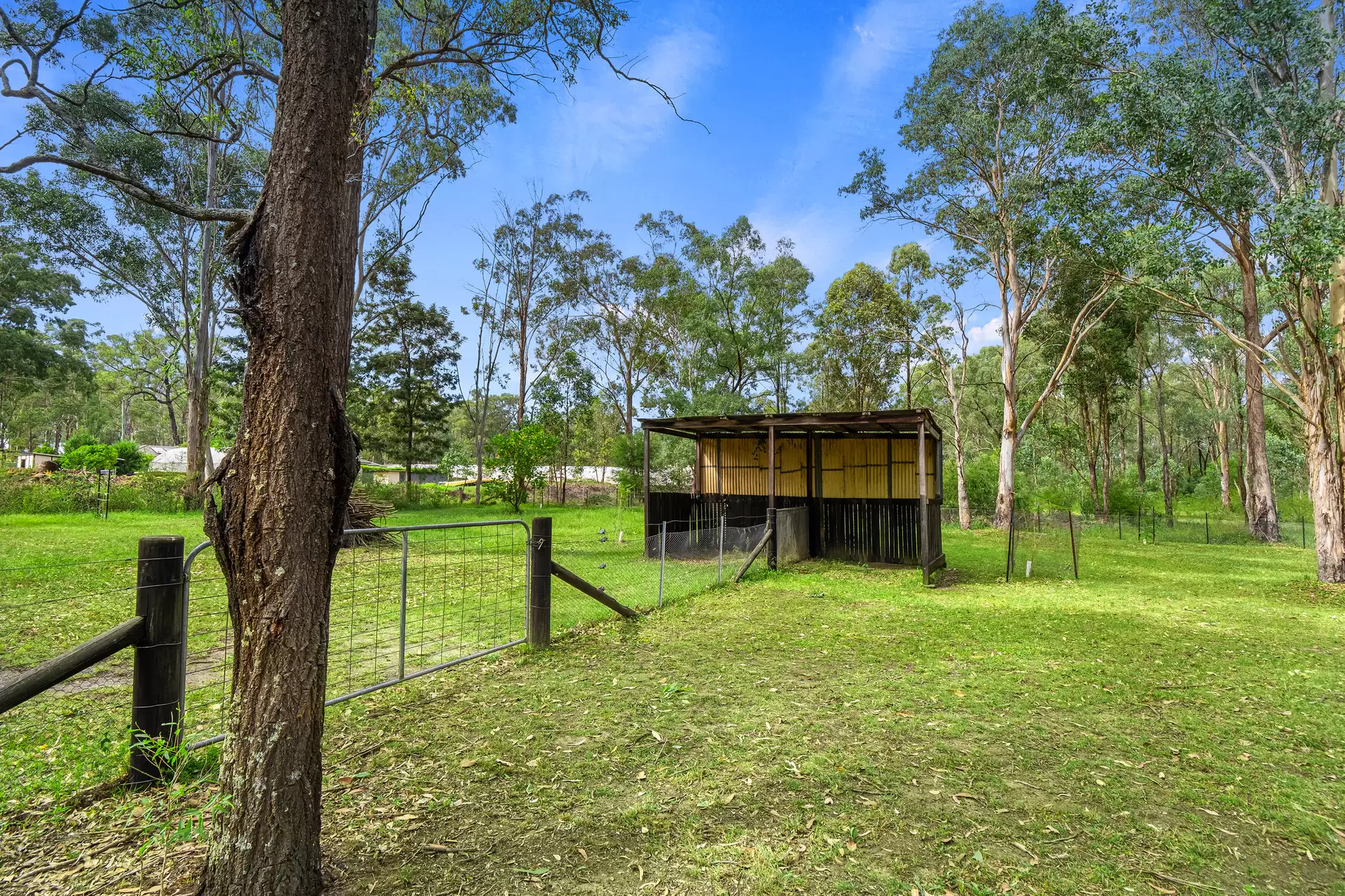96 Godalla Road, Freemans Reach For Sale by Cutcliffe Properties - image 1