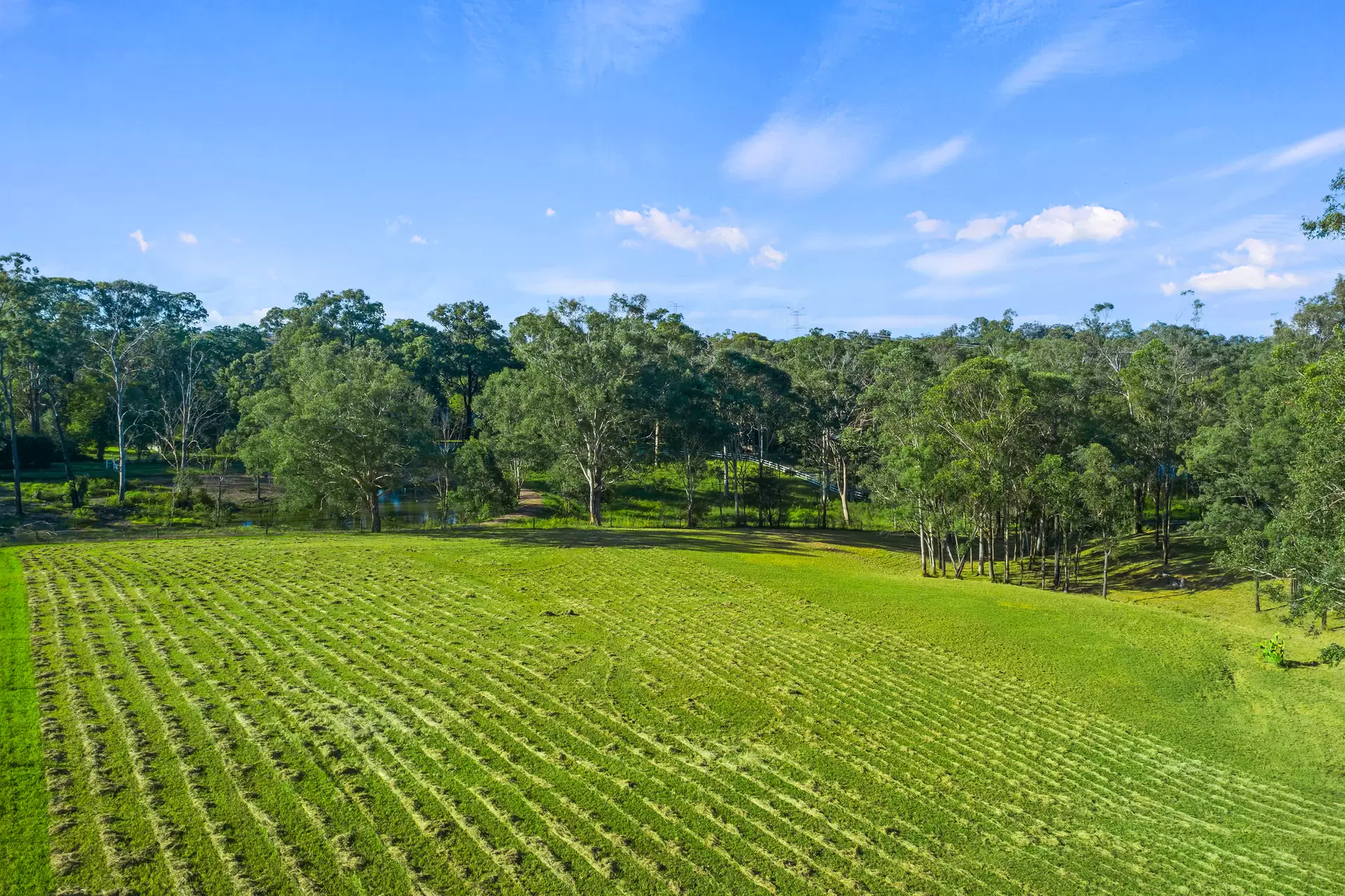 176 Grose Wold Road, Grose Wold For Sale by Cutcliffe Properties - image 1
