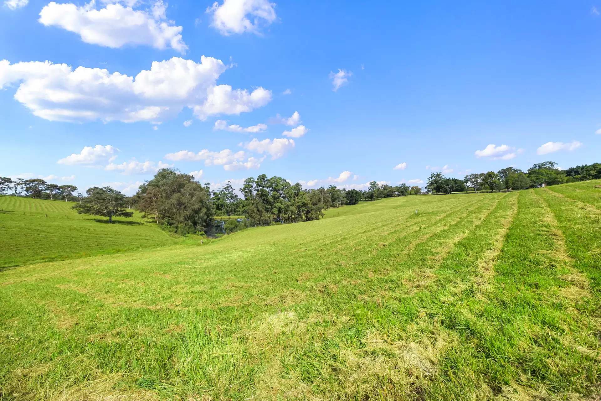 41 & 53A Vincents Road, Kurrajong For Sale by Cutcliffe Properties - image 1