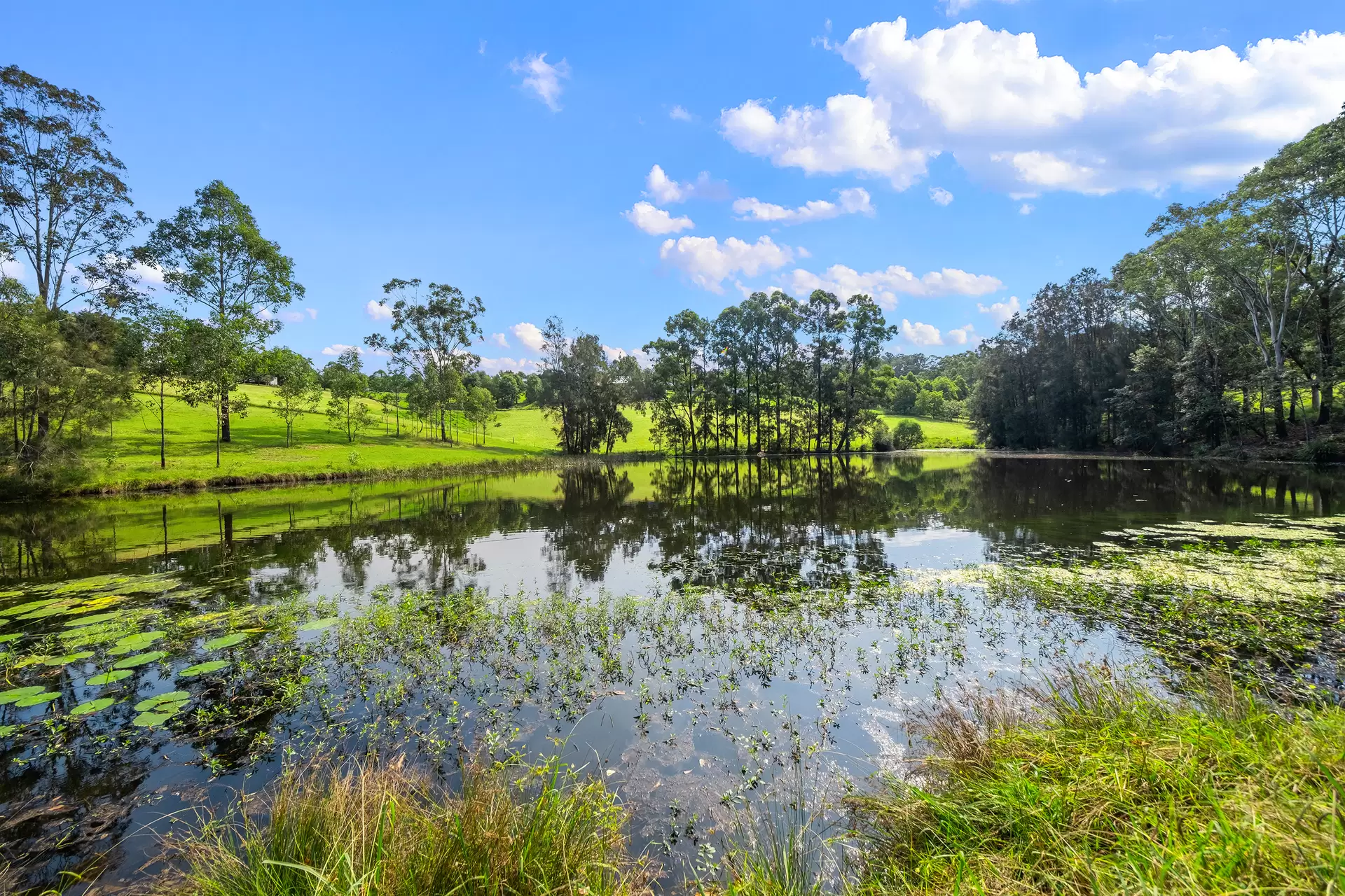 41 & 53A Vincents Road, Kurrajong For Sale by Cutcliffe Properties - image 1