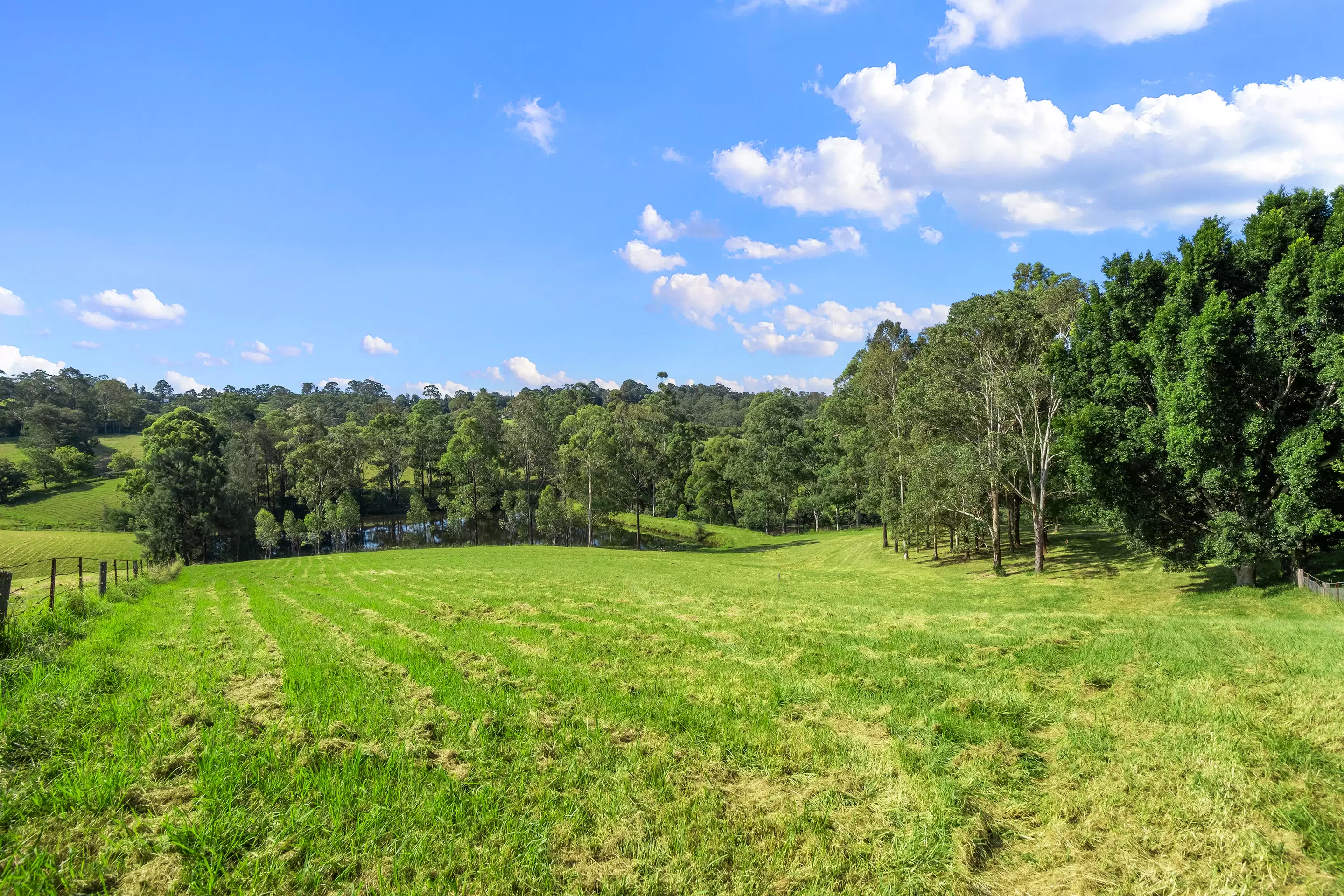 41 & 53A Vincents Road, Kurrajong For Sale by Cutcliffe Properties - image 10