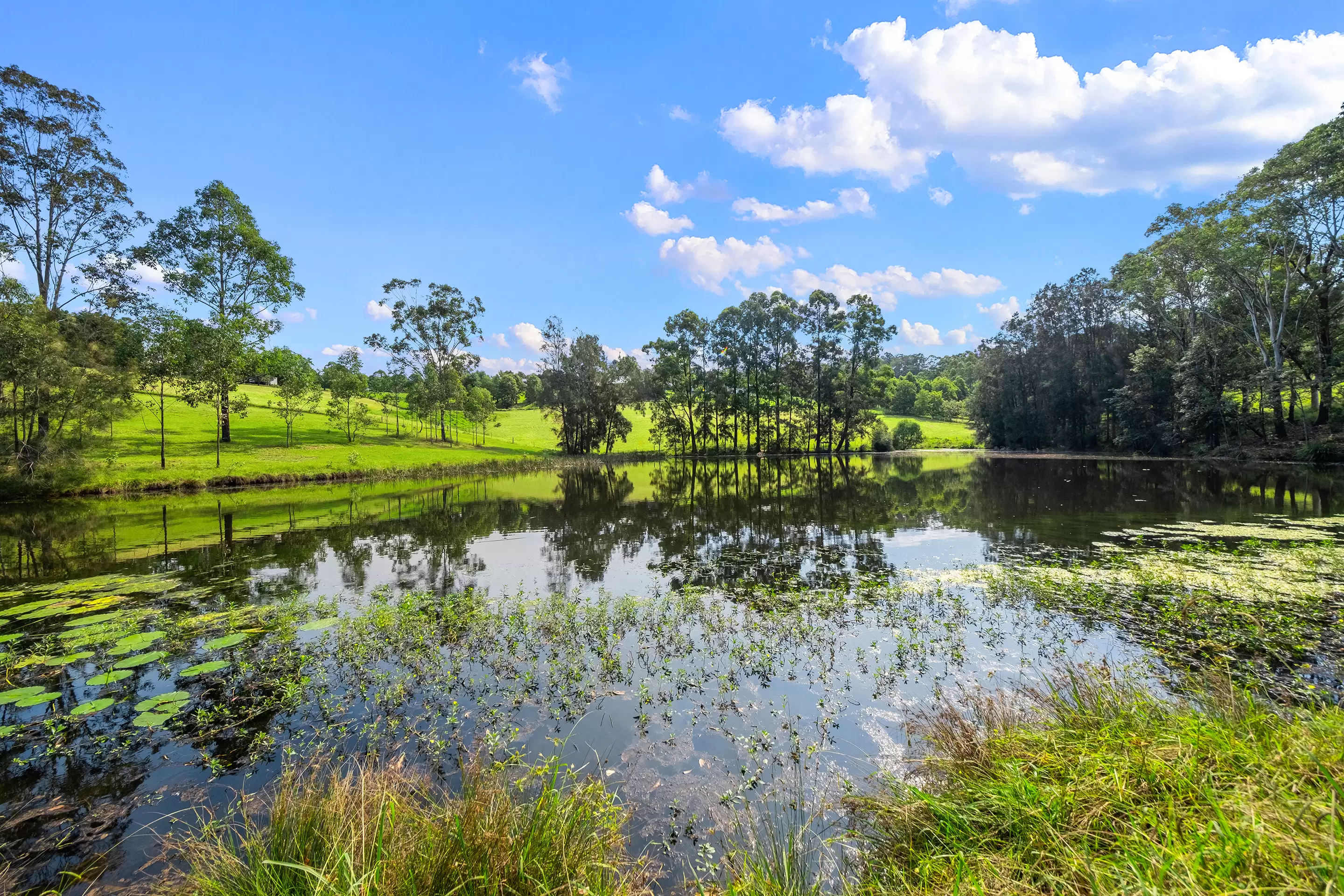 41 & 53A Vincents Road, Kurrajong For Sale by Cutcliffe Properties - image 11