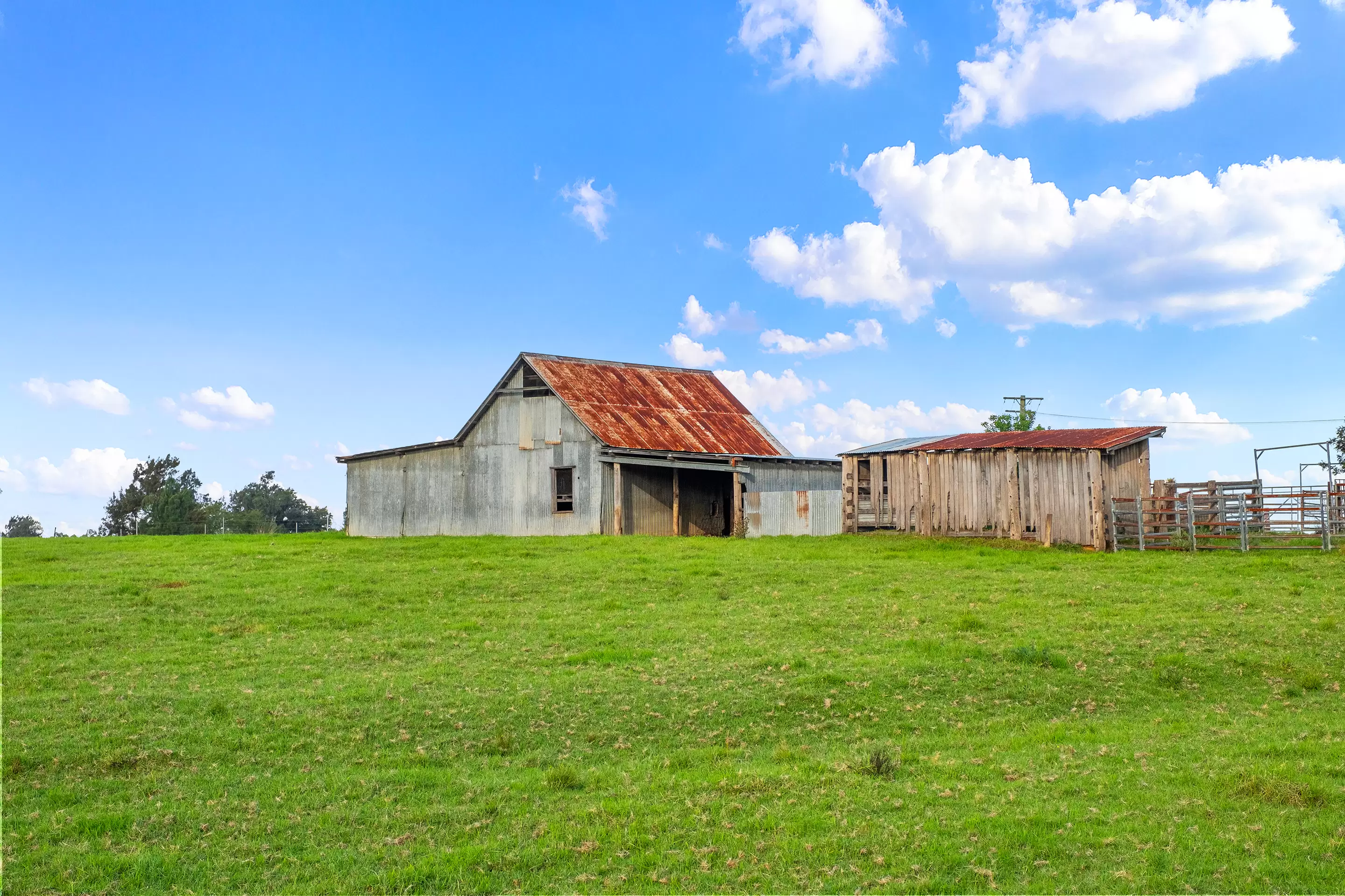 94 Terrace Road, North Richmond For Sale by Cutcliffe Properties - image 5