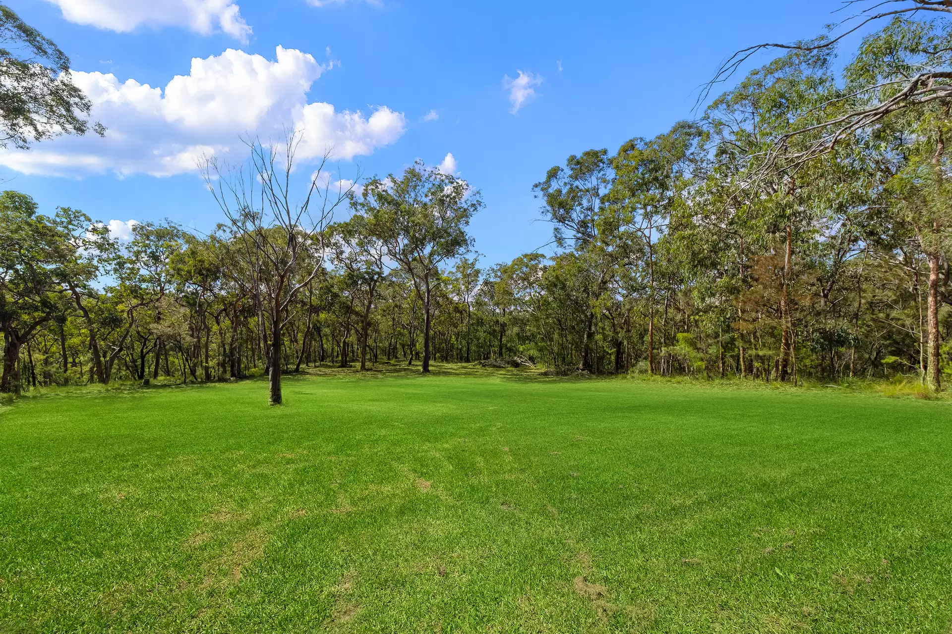 57 Mitchells Road, Sackville North For Sale by Cutcliffe Properties - image 1