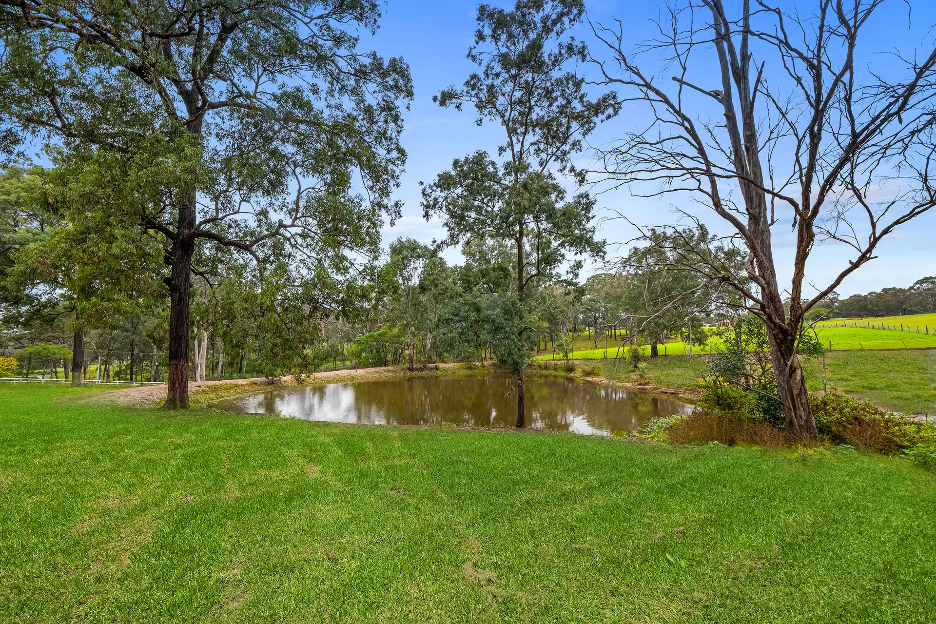 174 Grose Wold Road, Grose Wold For Sale by Cutcliffe Properties - image 1