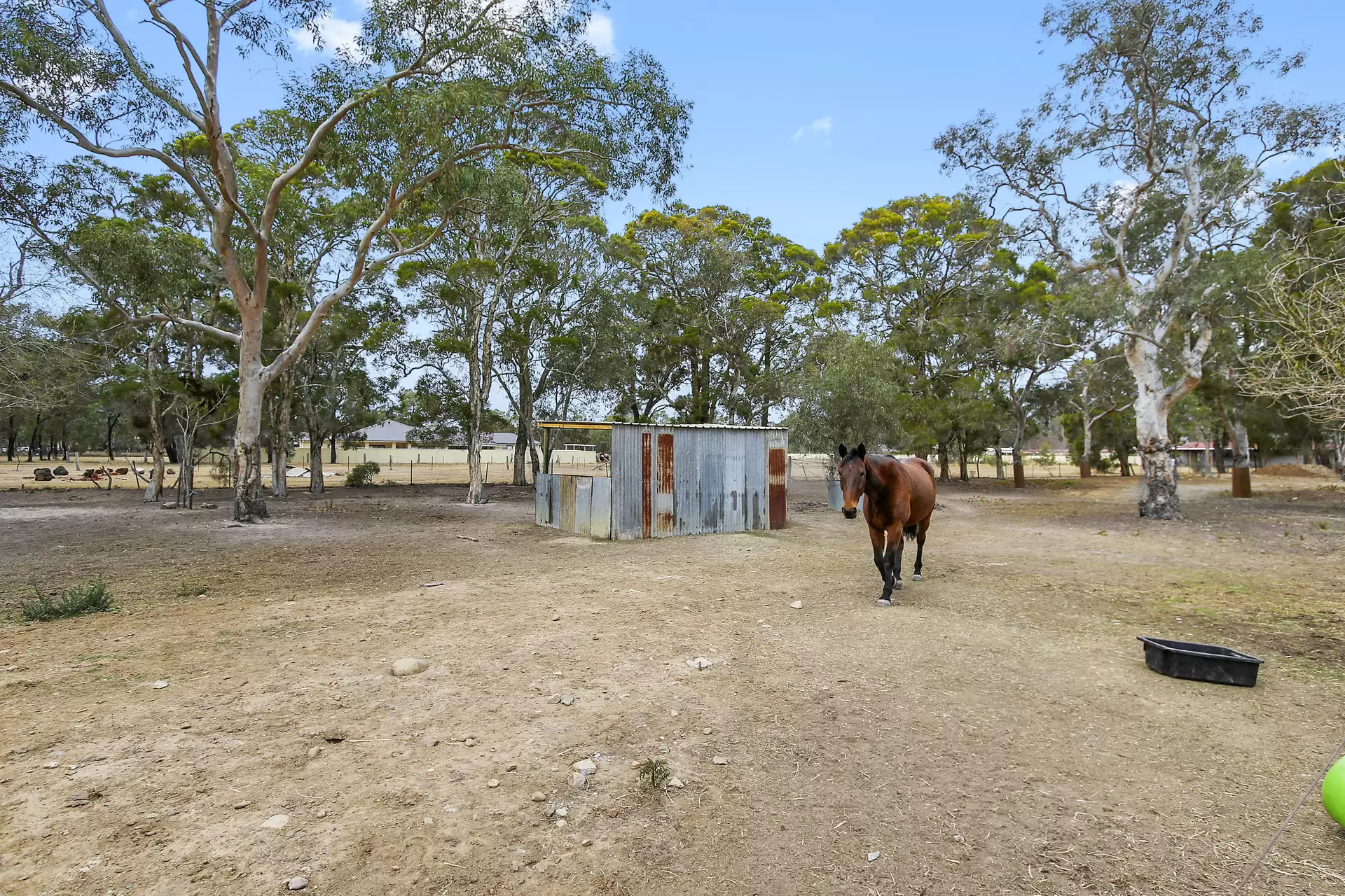 278 Devlin Road, Castlereagh For Lease by Cutcliffe Properties - image 1
