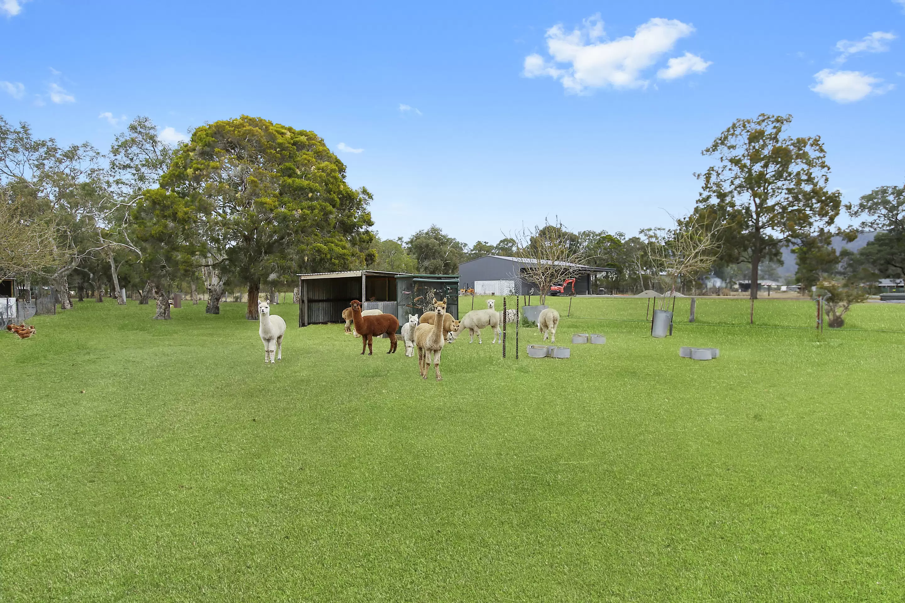 278 Devlin Road, Castlereagh For Lease by Cutcliffe Properties - image 8