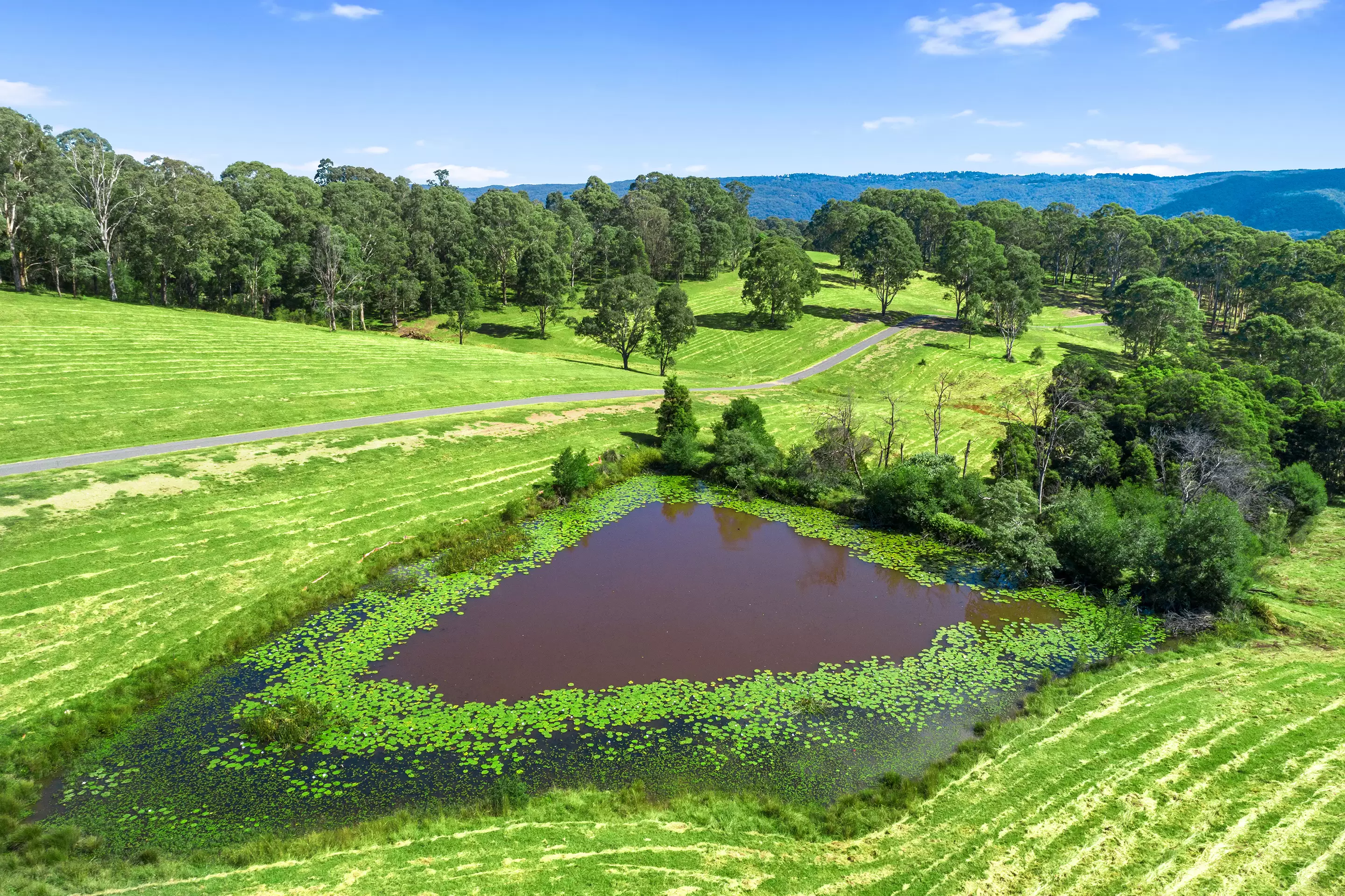Proposed Lots 1-9 463 Comleroy Road, Kurrajong For Sale by Cutcliffe Properties - image 7