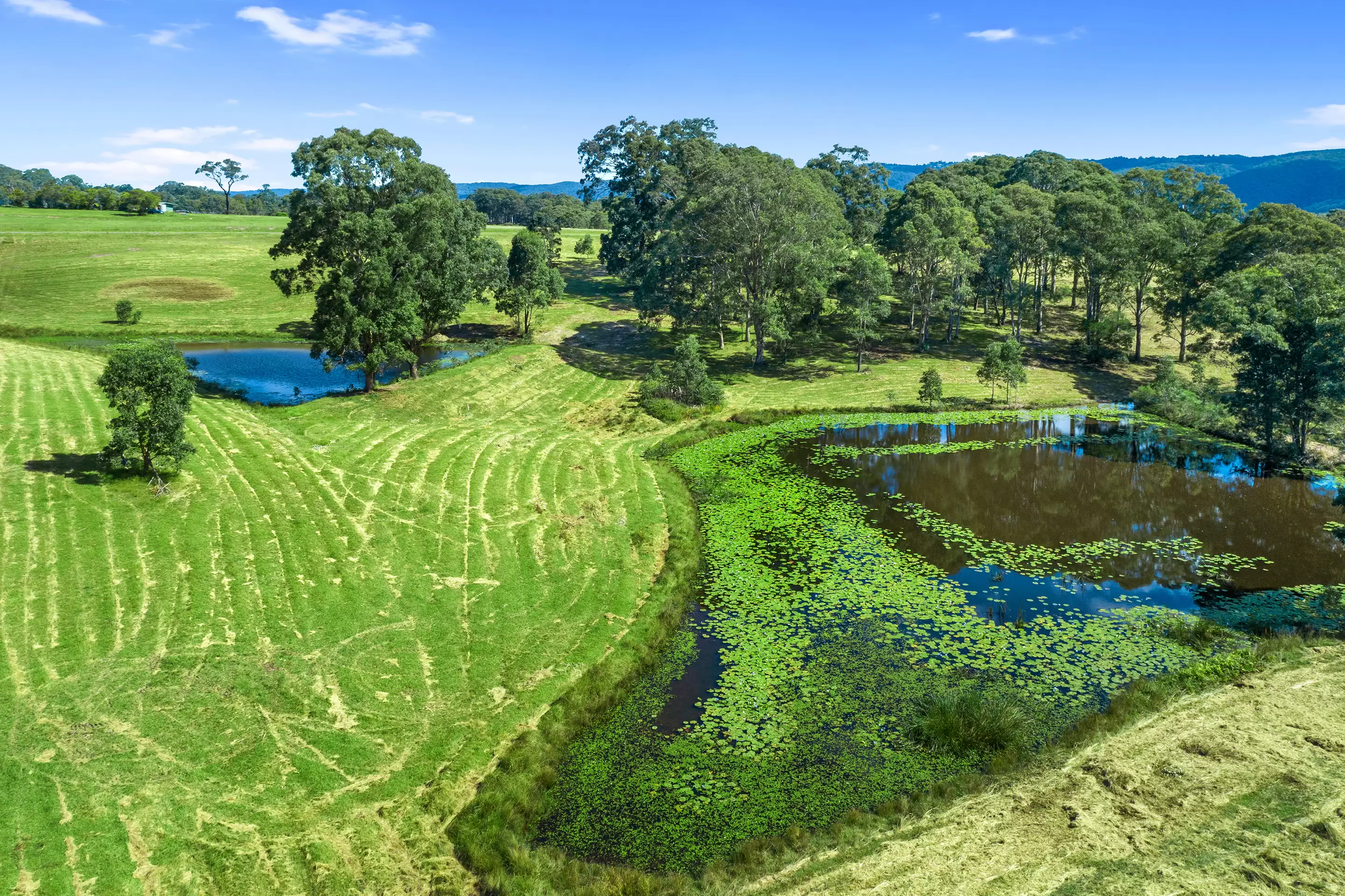 Proposed Lots 1-9 463 Comleroy Road, Kurrajong For Sale by Cutcliffe Properties - image 10