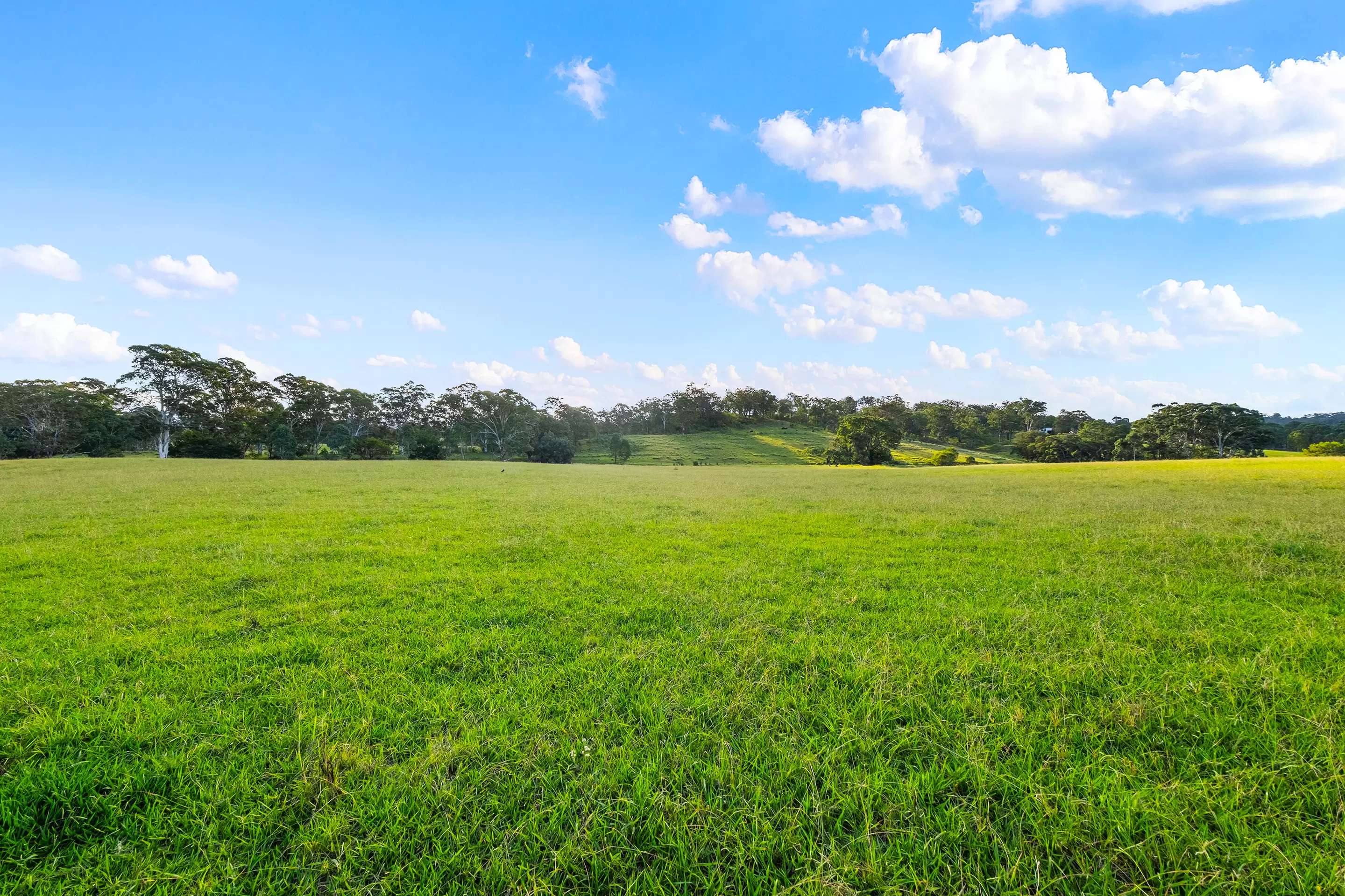 Part of 94 Terrace Road, North Richmond Sold by Cutcliffe Properties - image 12