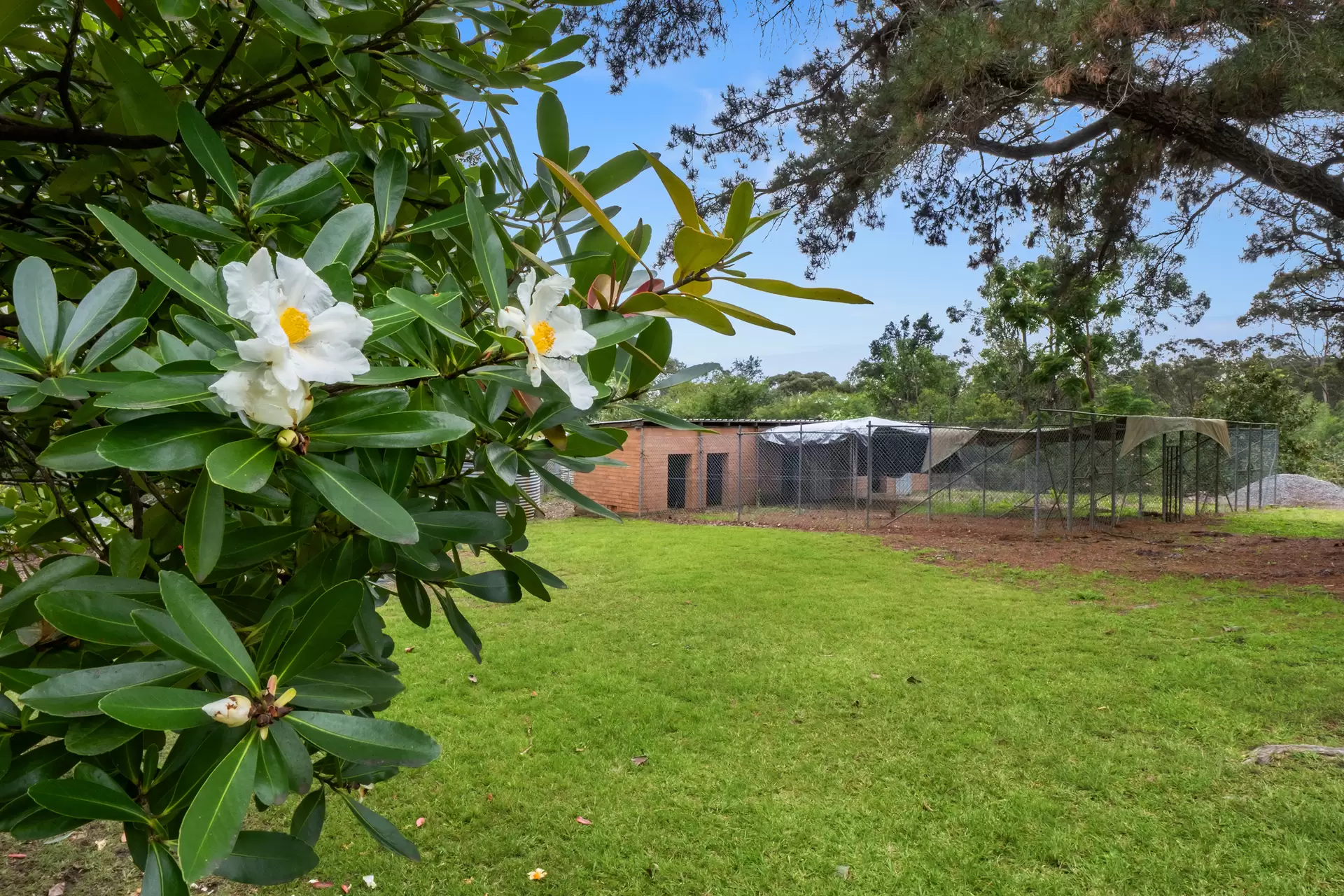 3298 Putty Road, Colo Heights For Sale by Cutcliffe Properties - image 1