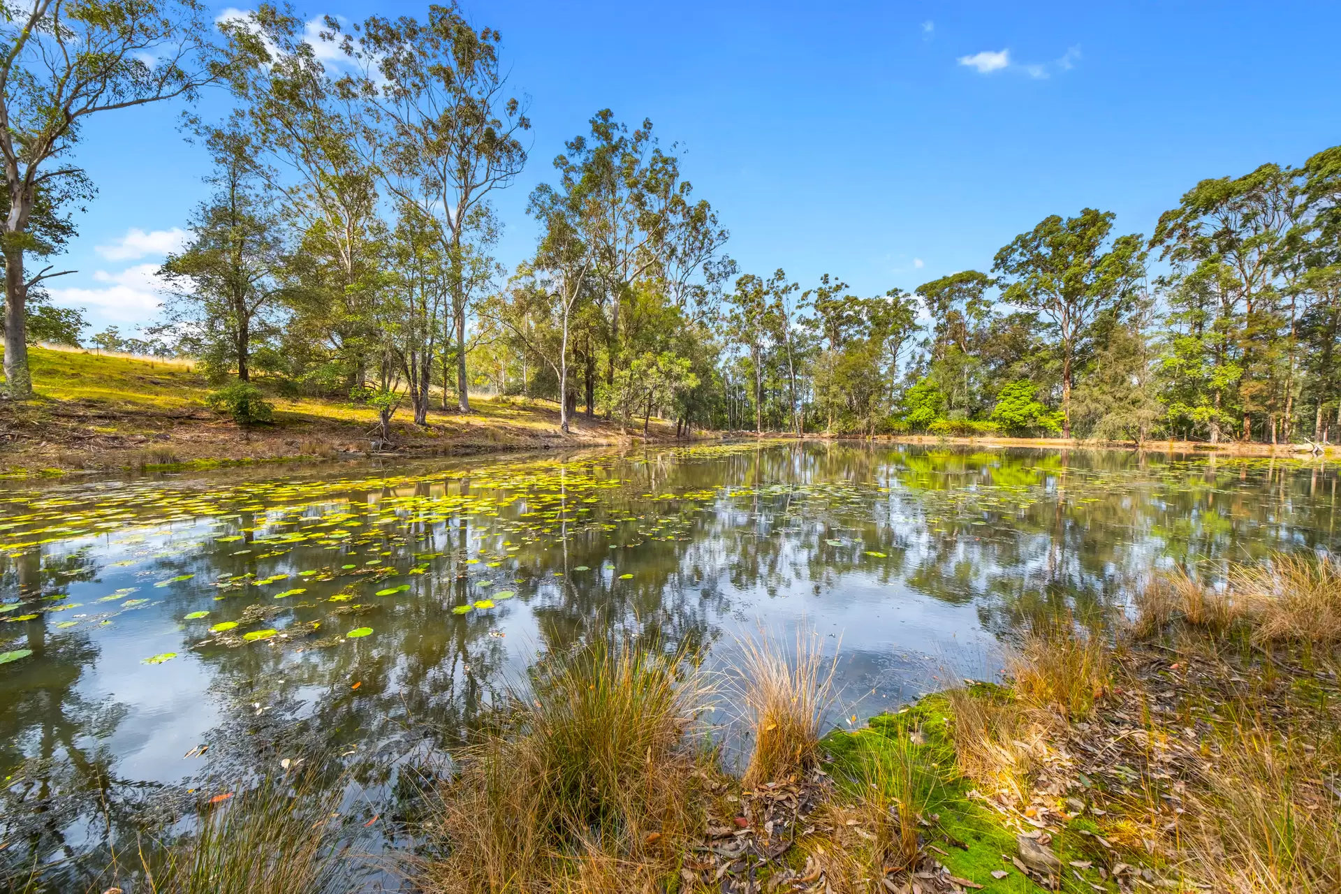 708 East Kurrajong Road, East Kurrajong For Sale by Cutcliffe Properties - image 1