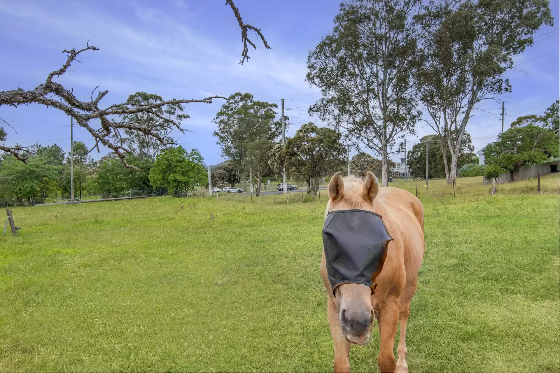 181 Cox Street, South Windsor For Sale by Cutcliffe Properties - image 1