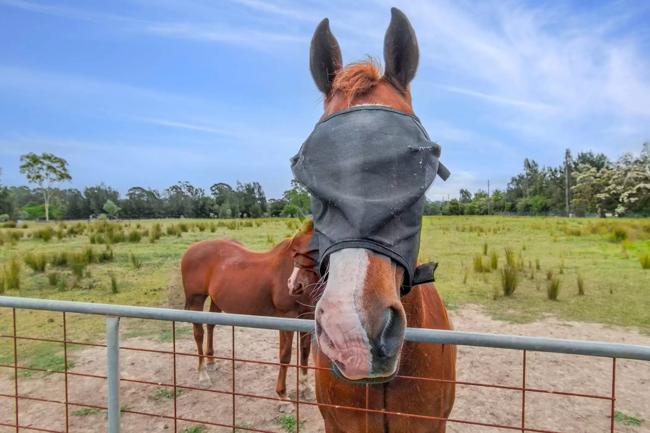 181 Cox Street, South Windsor For Sale by Cutcliffe Properties - image 20